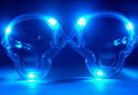 Skull Sunglasses
