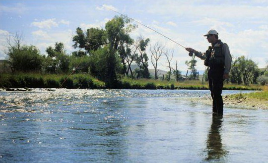 Fishing
